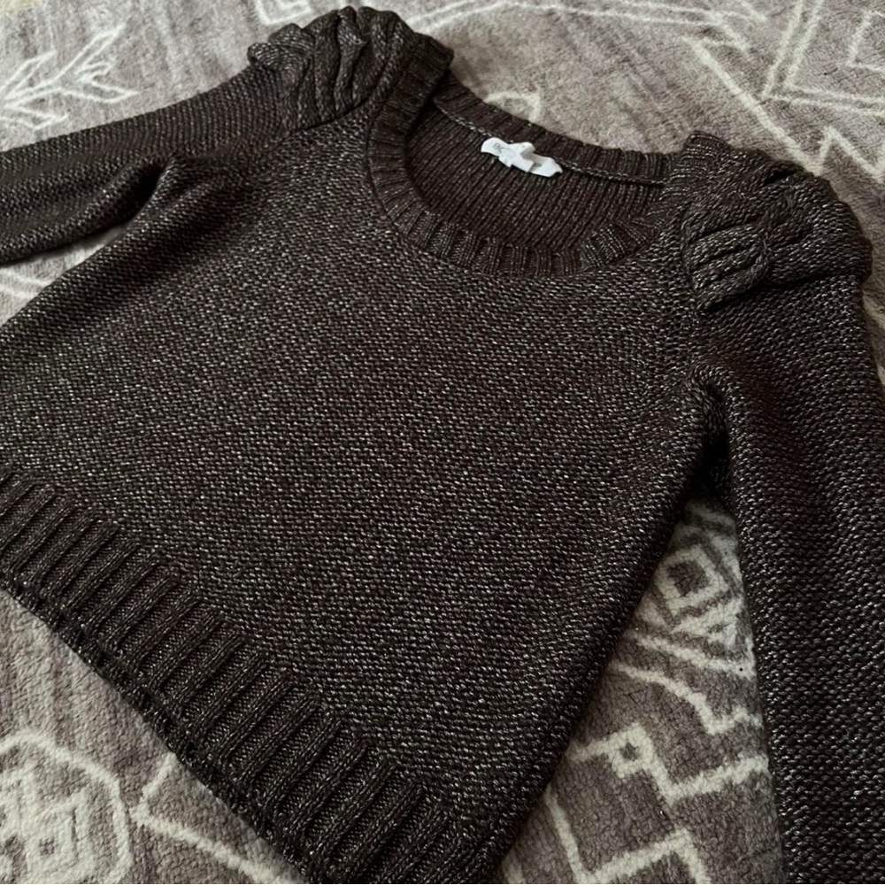 Brown/Silver Sweater